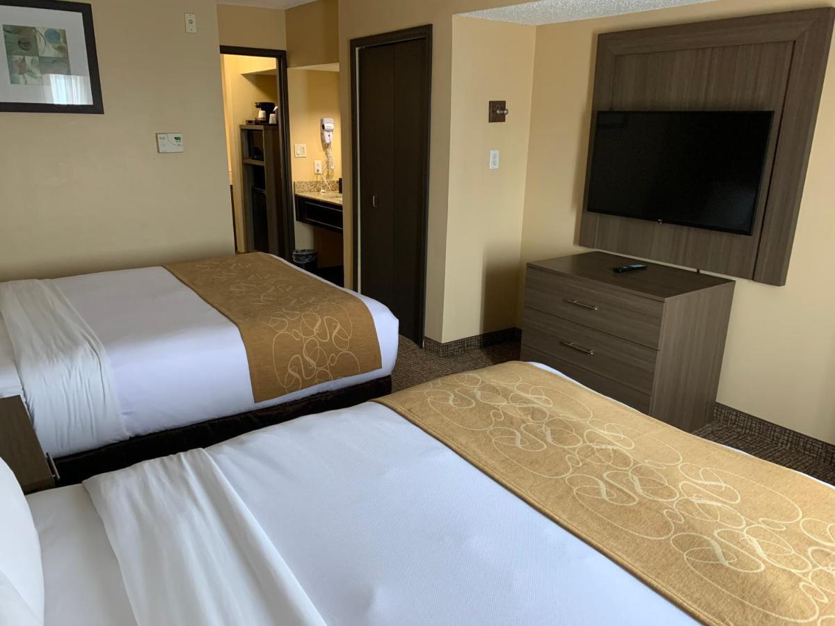 Comfort Suites Dfw Airport Irving Eksteriør bilde