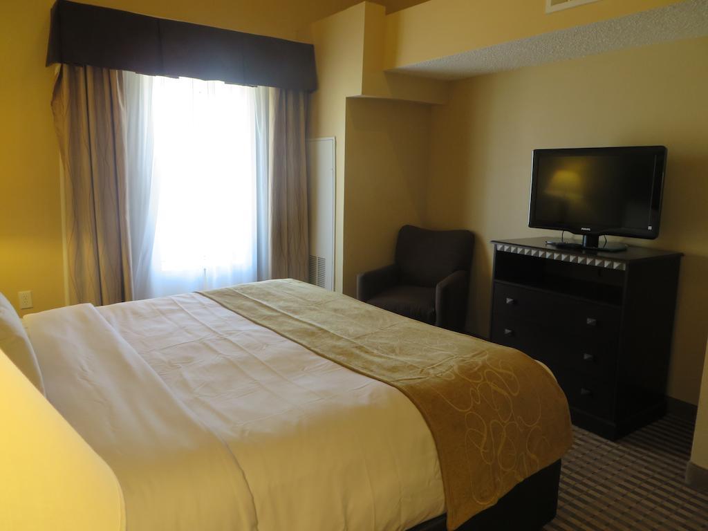 Comfort Suites Dfw Airport Irving Eksteriør bilde